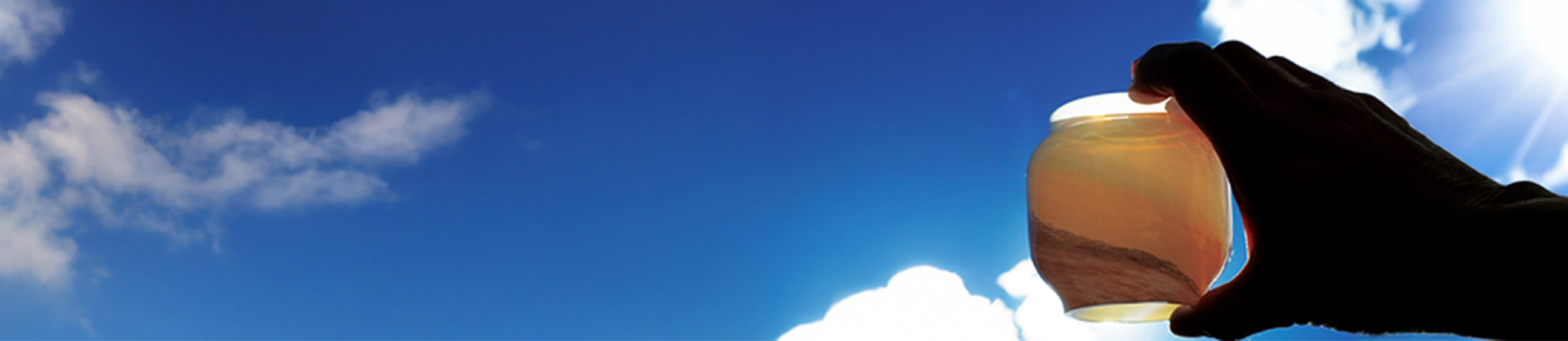 自然の中で灯るランタンのイメージ