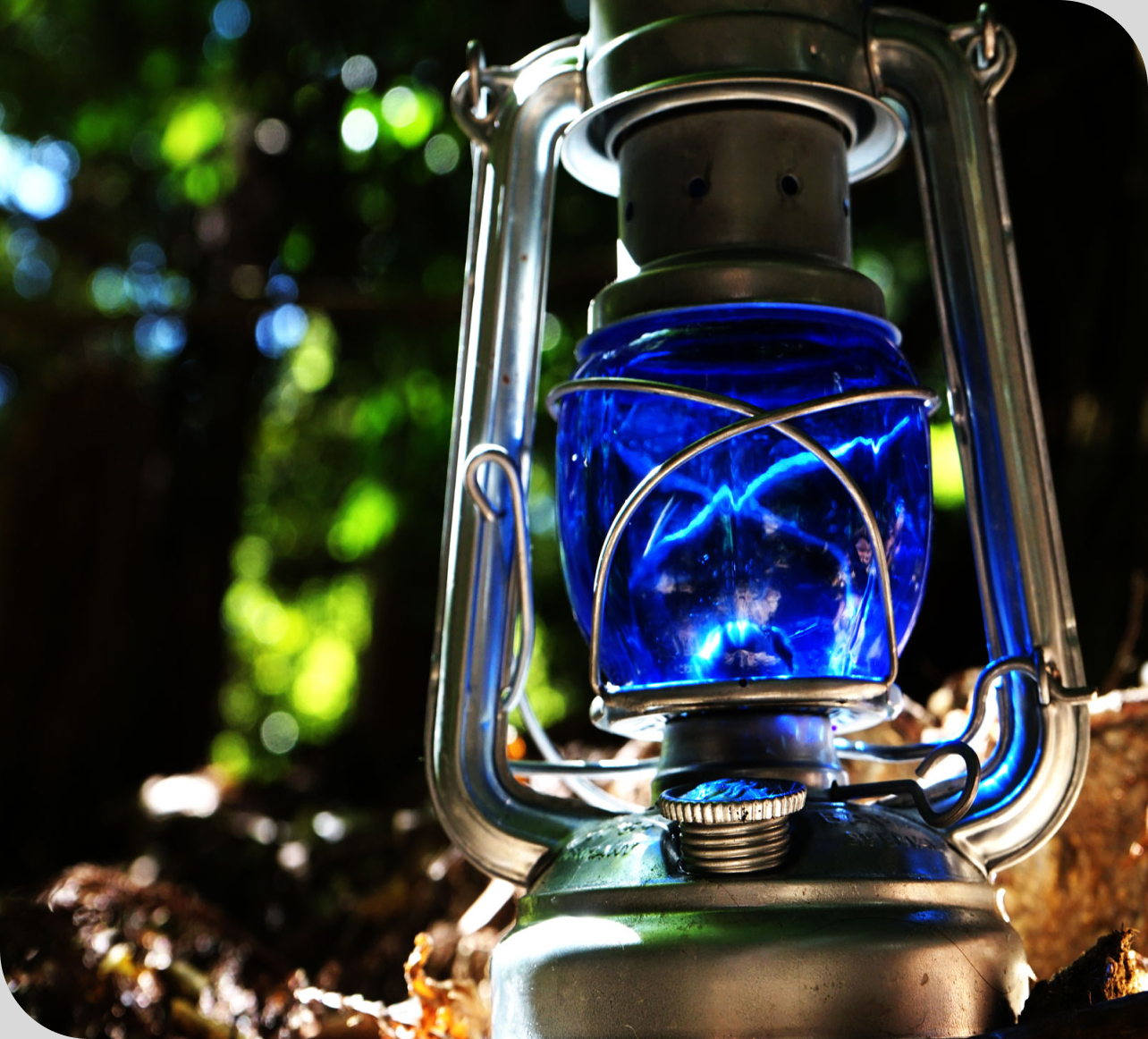 ランタンと一緒に湖畔で魚釣